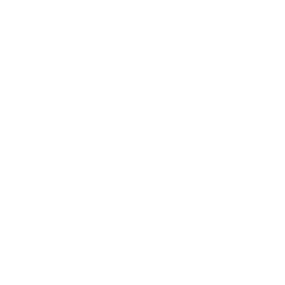 The Scale Advisor